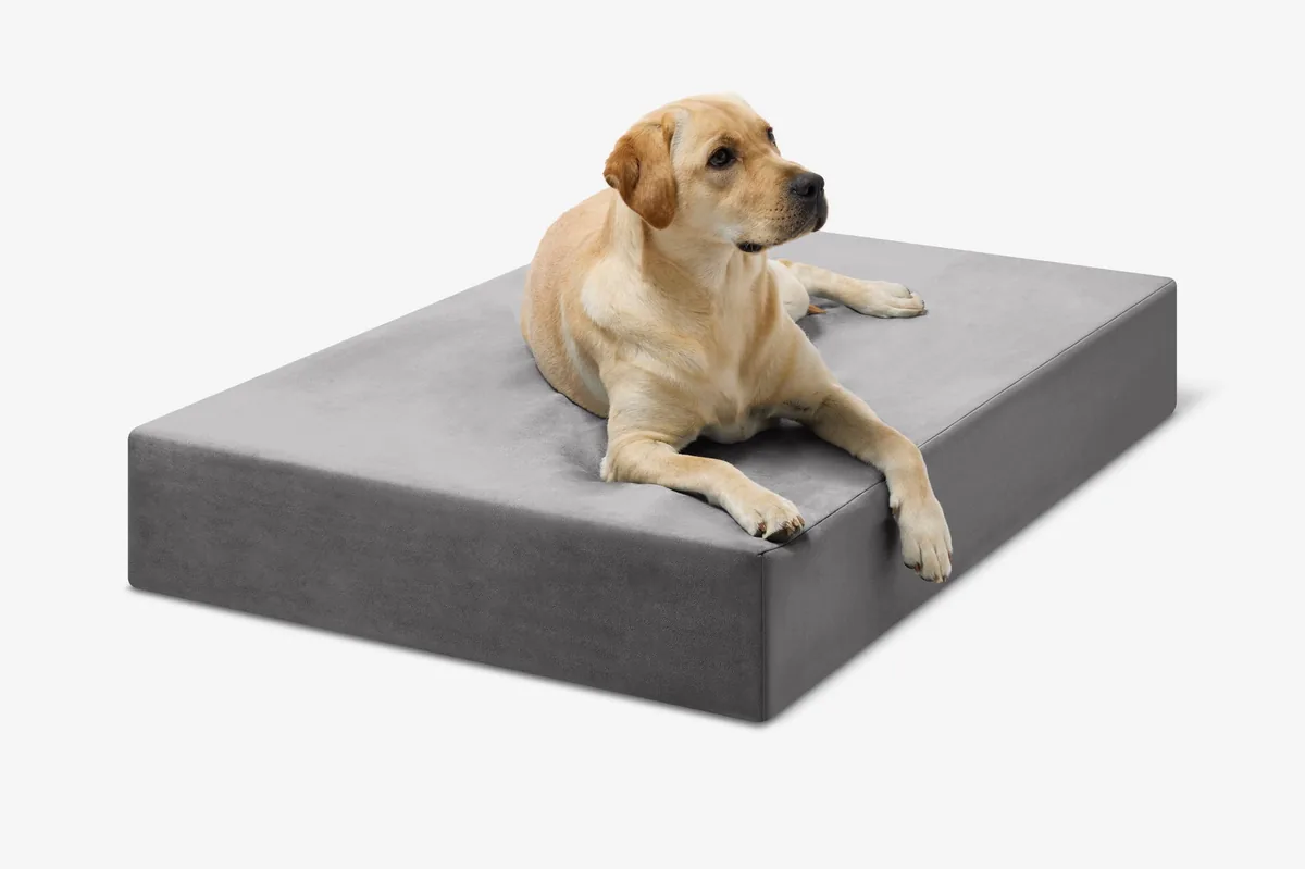 Barker Original Orthopedic Dog Bed