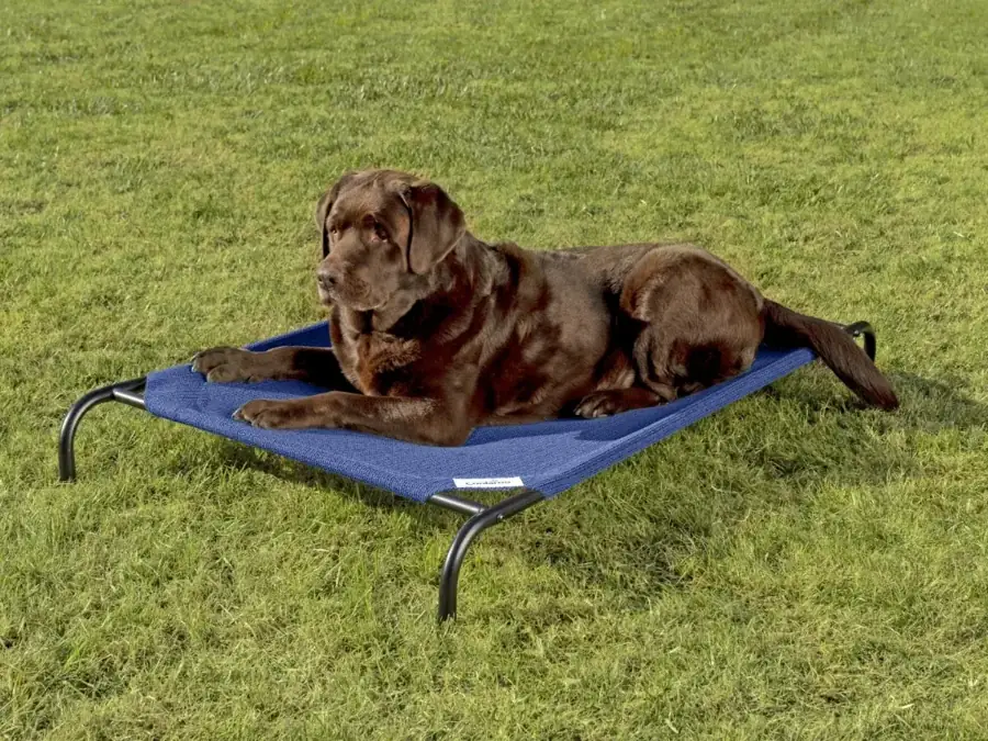 Coolaroo Original Elevated Dog Bed