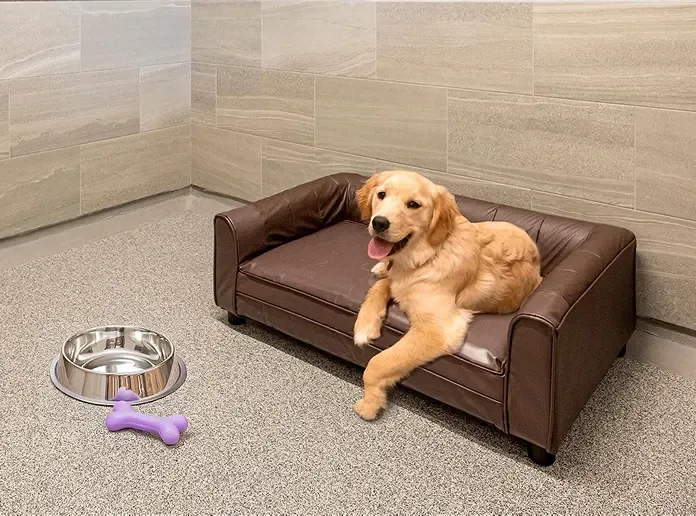 K9 Resorts