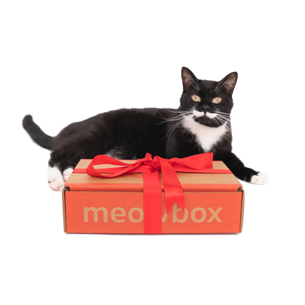 meowbox