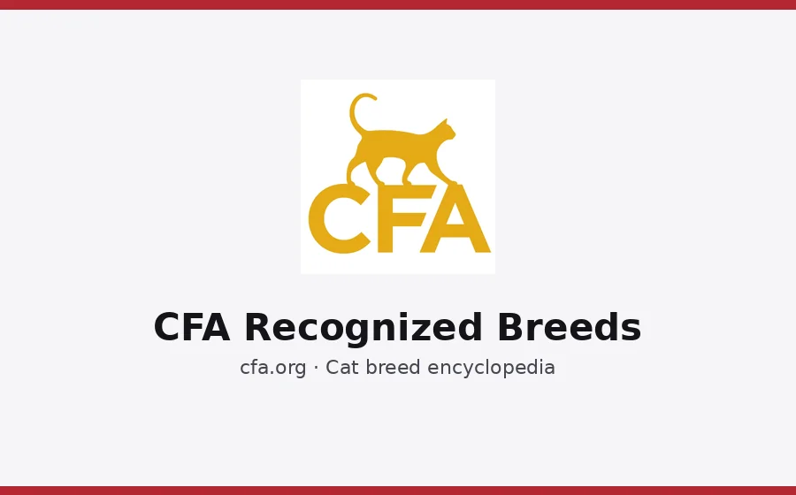 CFA Recognized Breeds