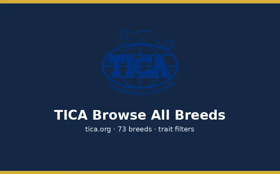 TICA Browse All Breeds