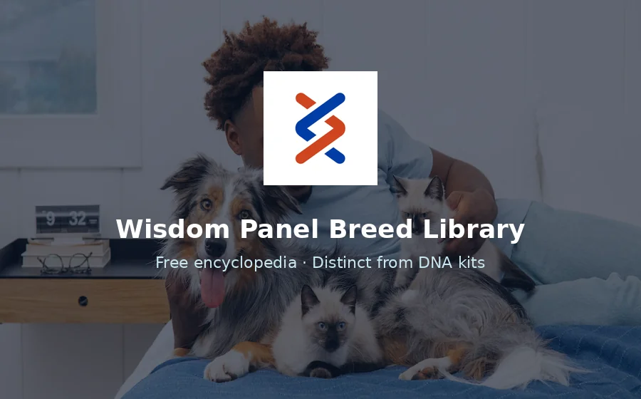 Wisdom Panel Dog Breed Library