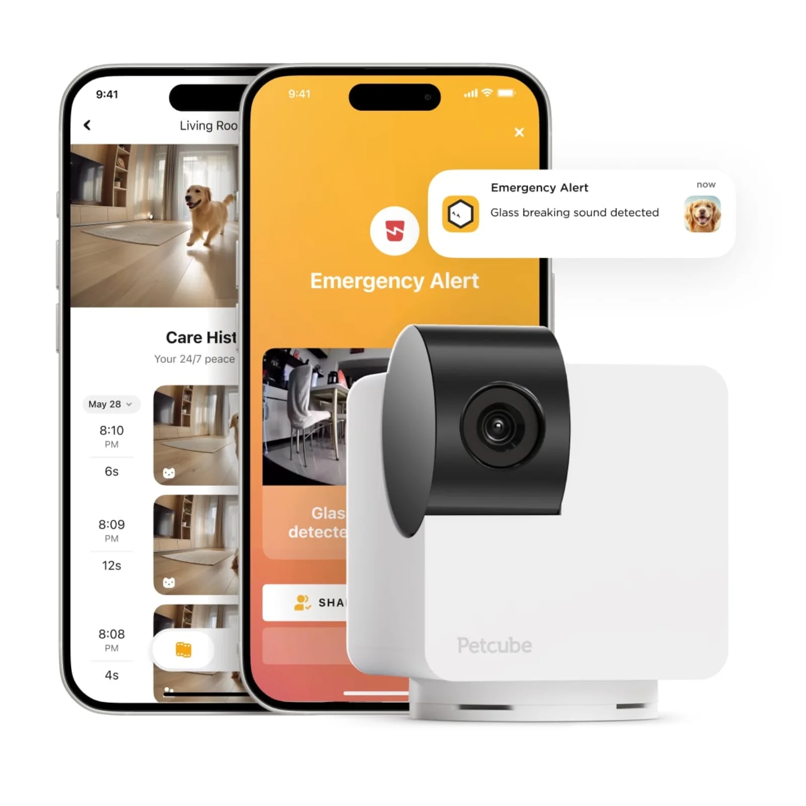 Petcube Cam 360
