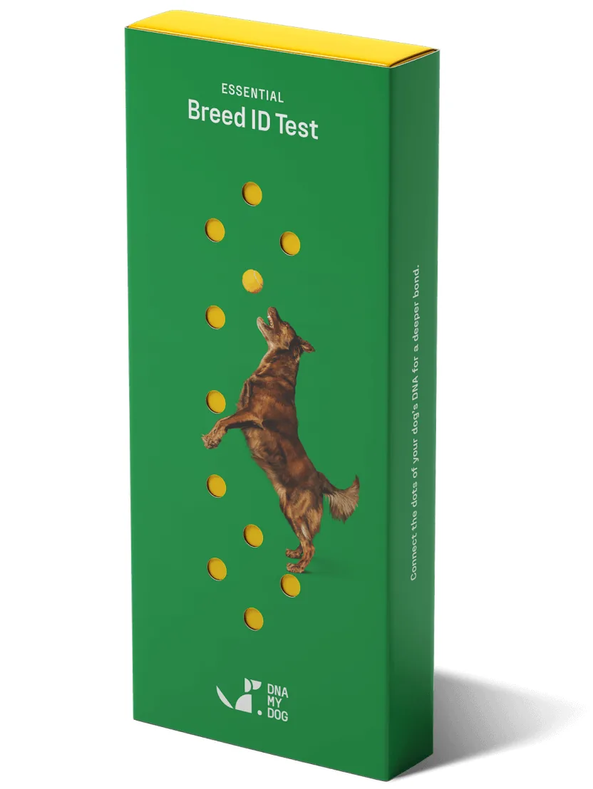DNA My Dog Essential Breed ID Test