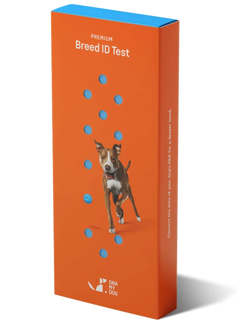 DNA My Dog Premium Breed ID Test