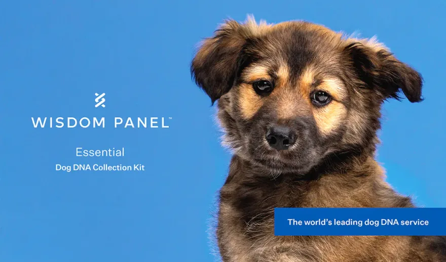 Wisdom Panel Essential