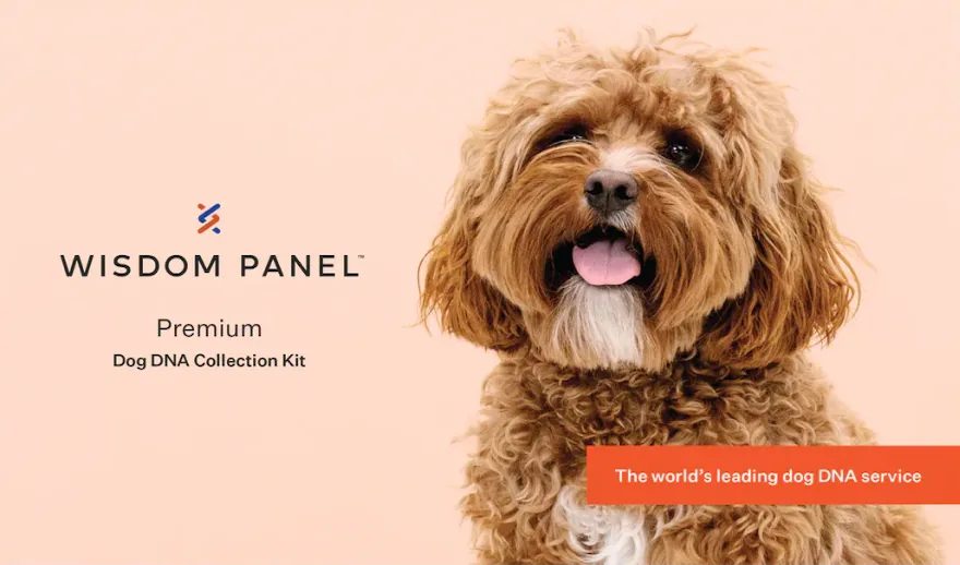 Wisdom Panel Premium