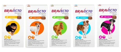 Bravecto Chews