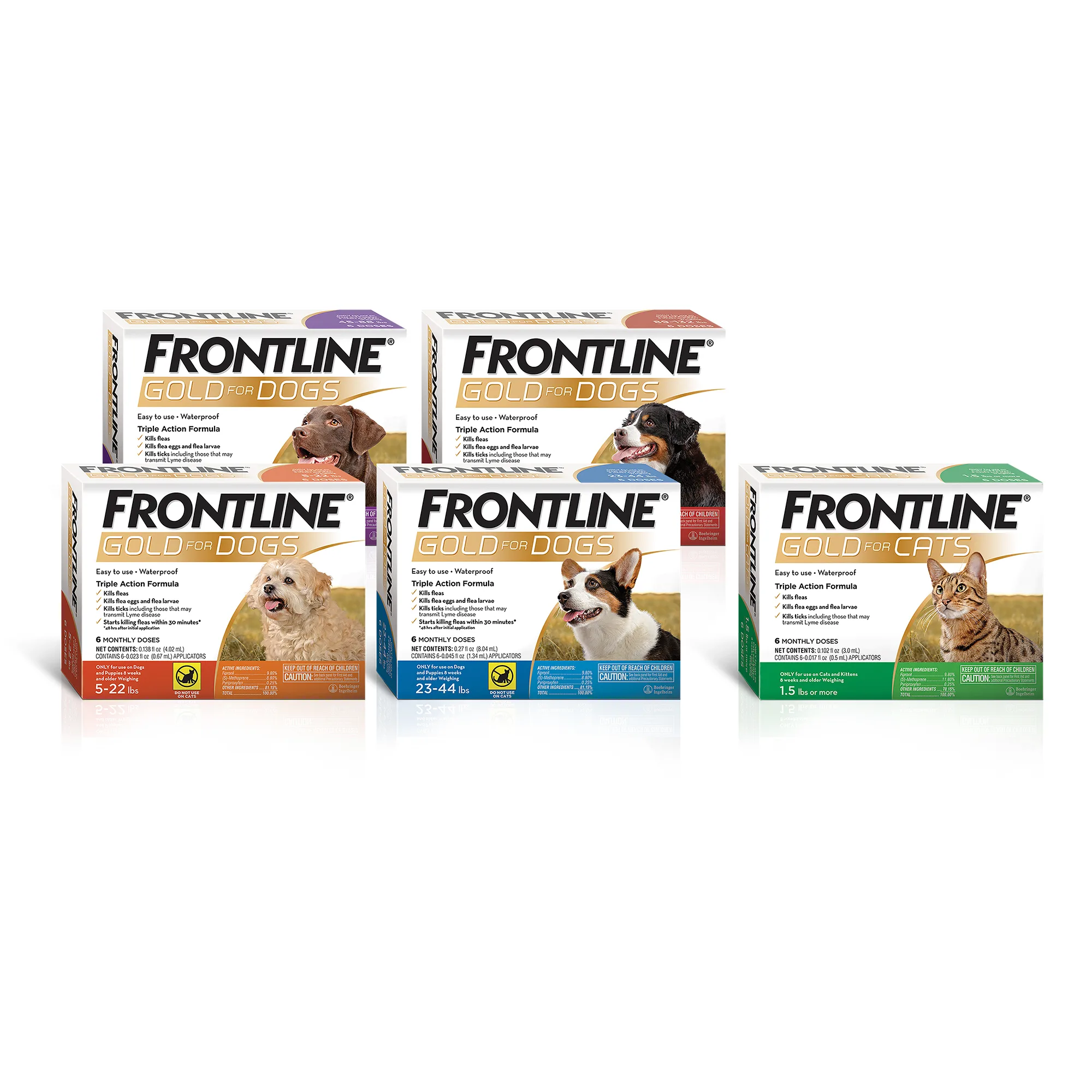 FRONTLINE Gold