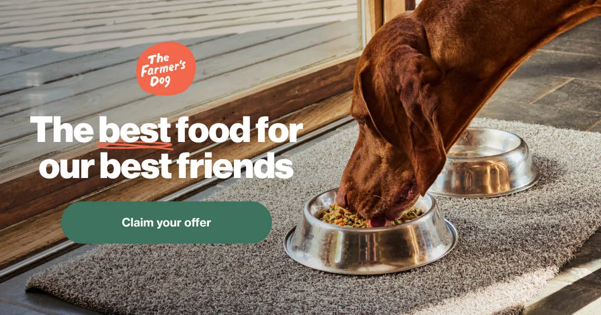 The Farmer's Dog Fresh Subscription