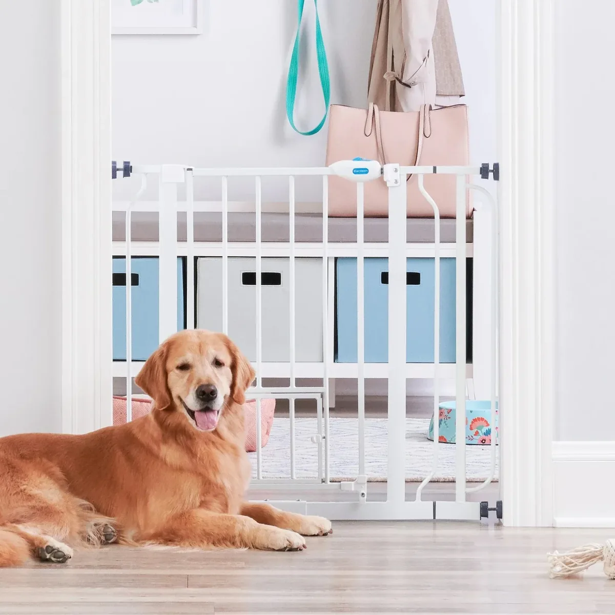 Carlson Extra Wide Walk-Thru Pet Gate with Small Pet Door