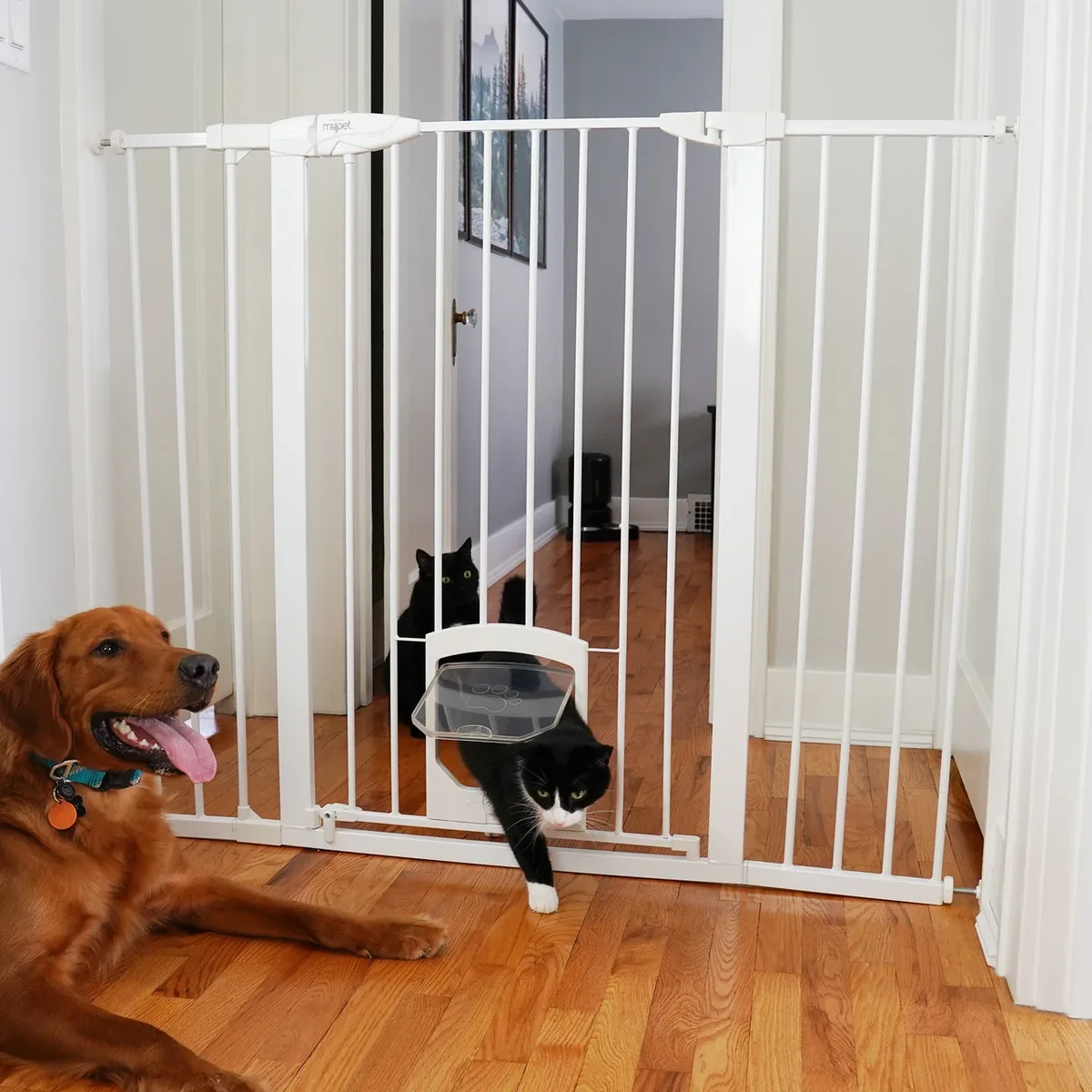 North States MyPet Extra-Tall & Wide Petgate Passage® White