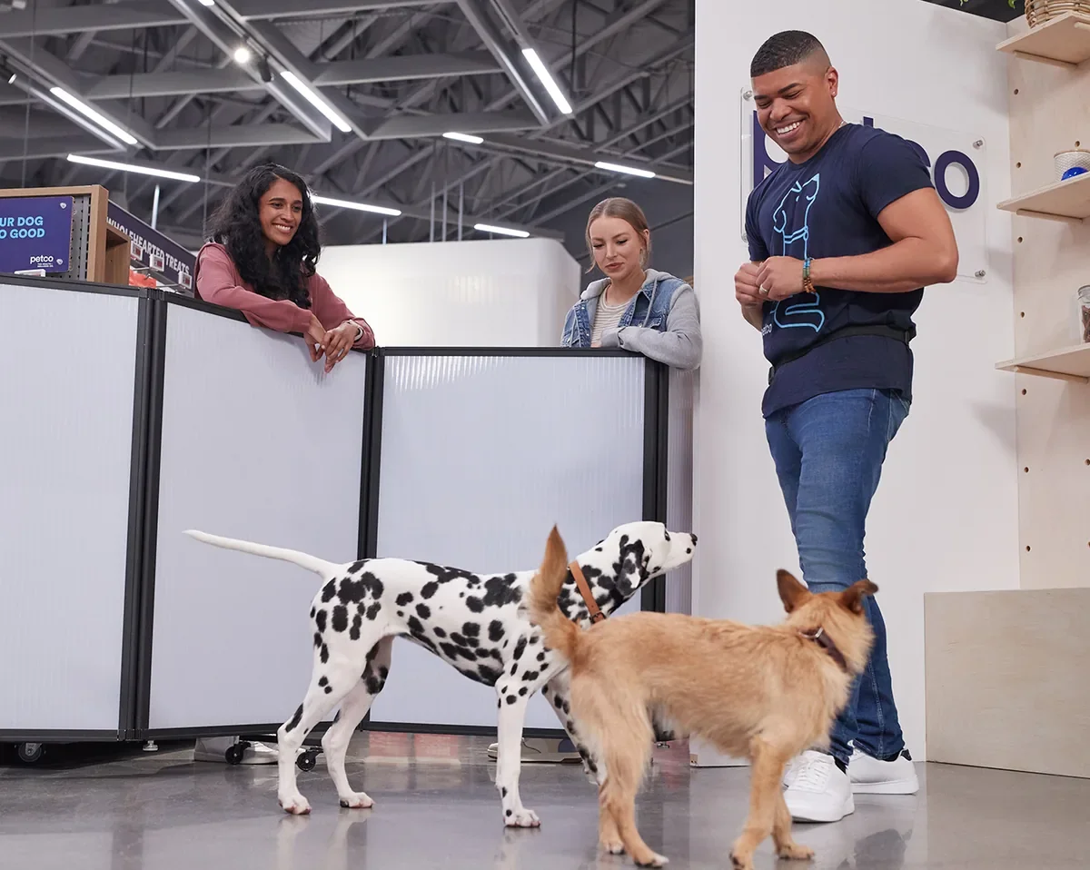 Petco Puppy Group Class