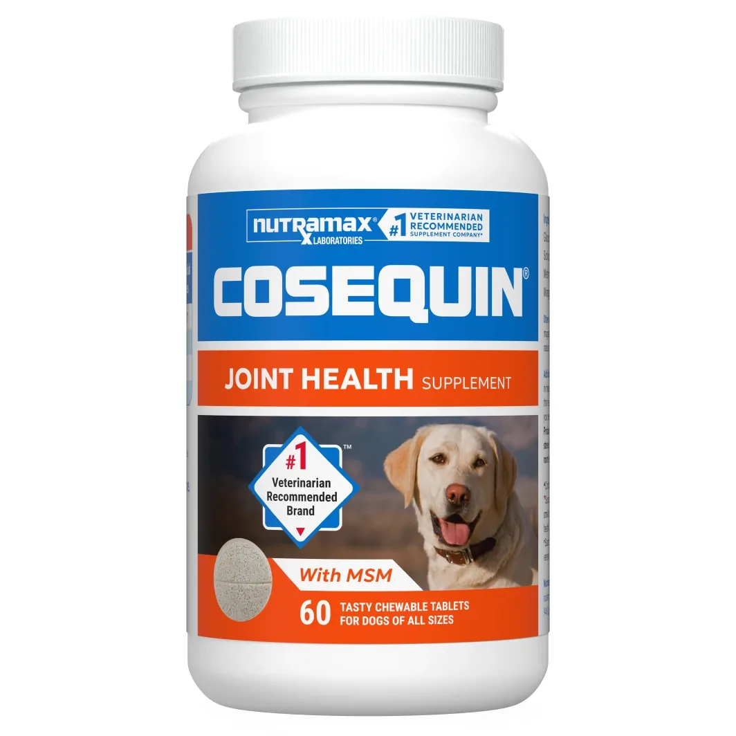 Cosequin Maximum Strength Plus MSM Chewable Tablets for Dogs — 60 ct