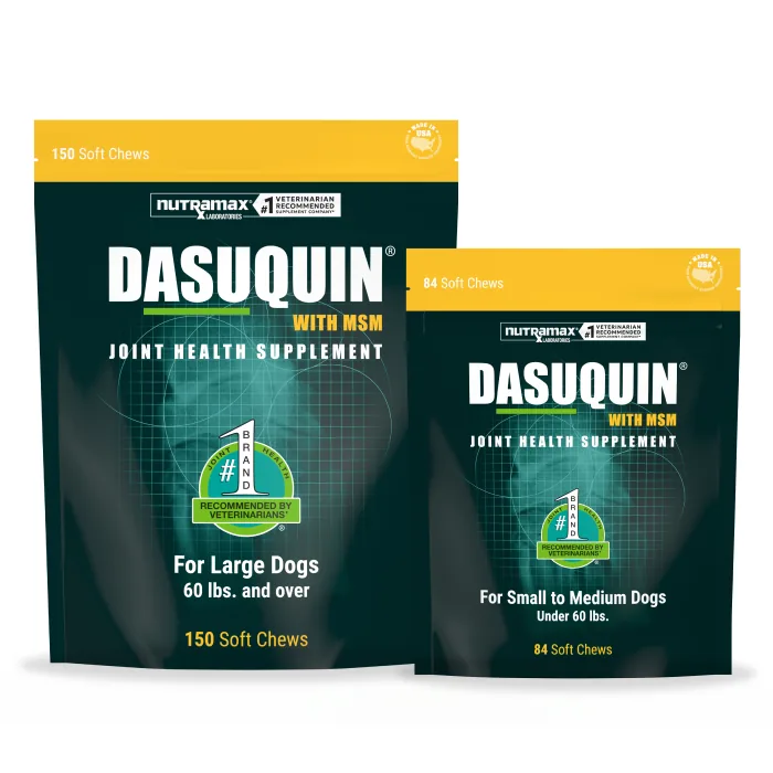 Nutramax Dasuquin with MSM Soft Chews for Dogs