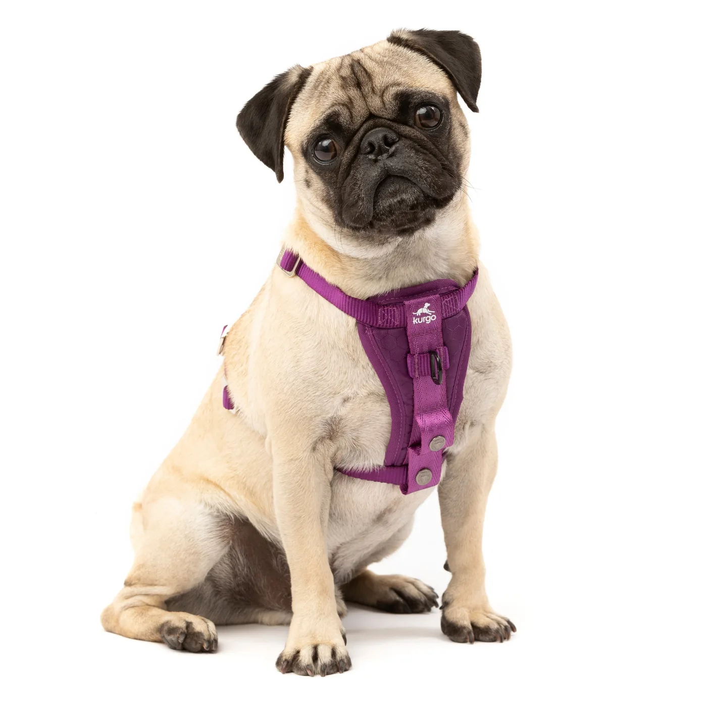 Kurgo Enhanced Strength Tru-Fit Smart Harness