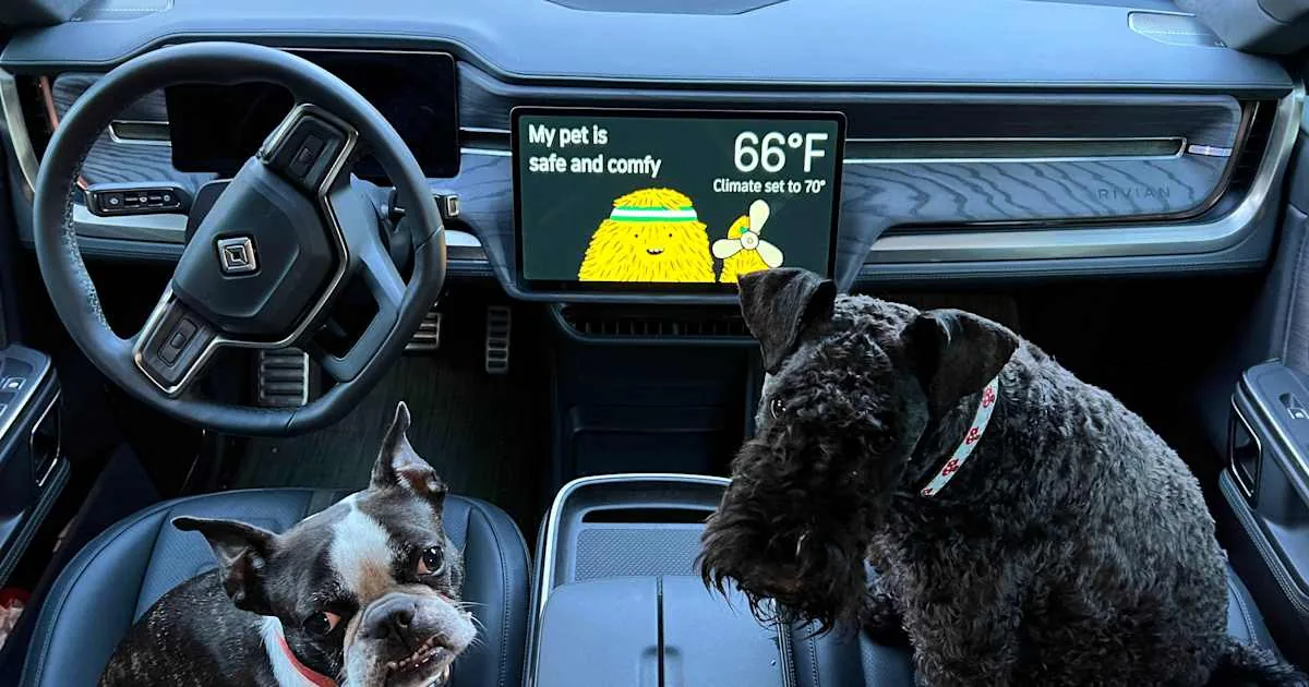 Rivian Pet Comfort
