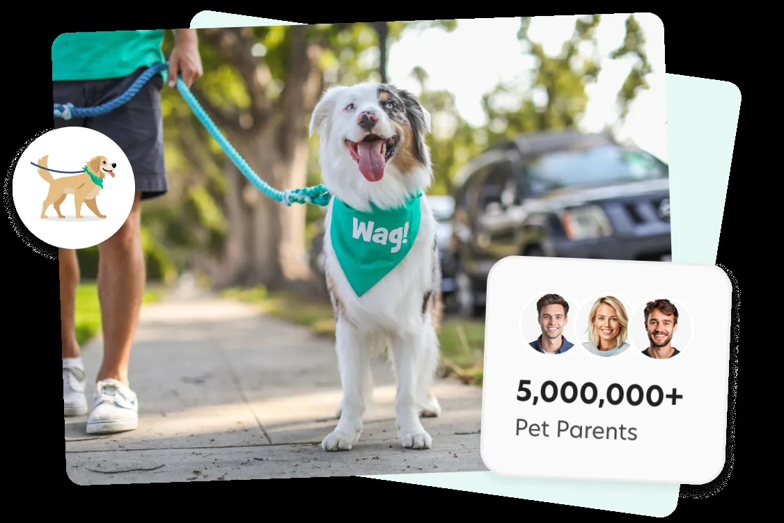 Wag! Walks